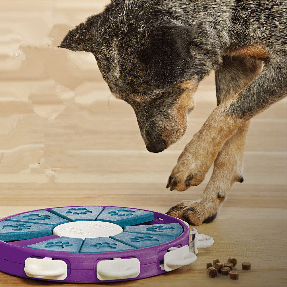 Dog educational toys - FurryFriendMark