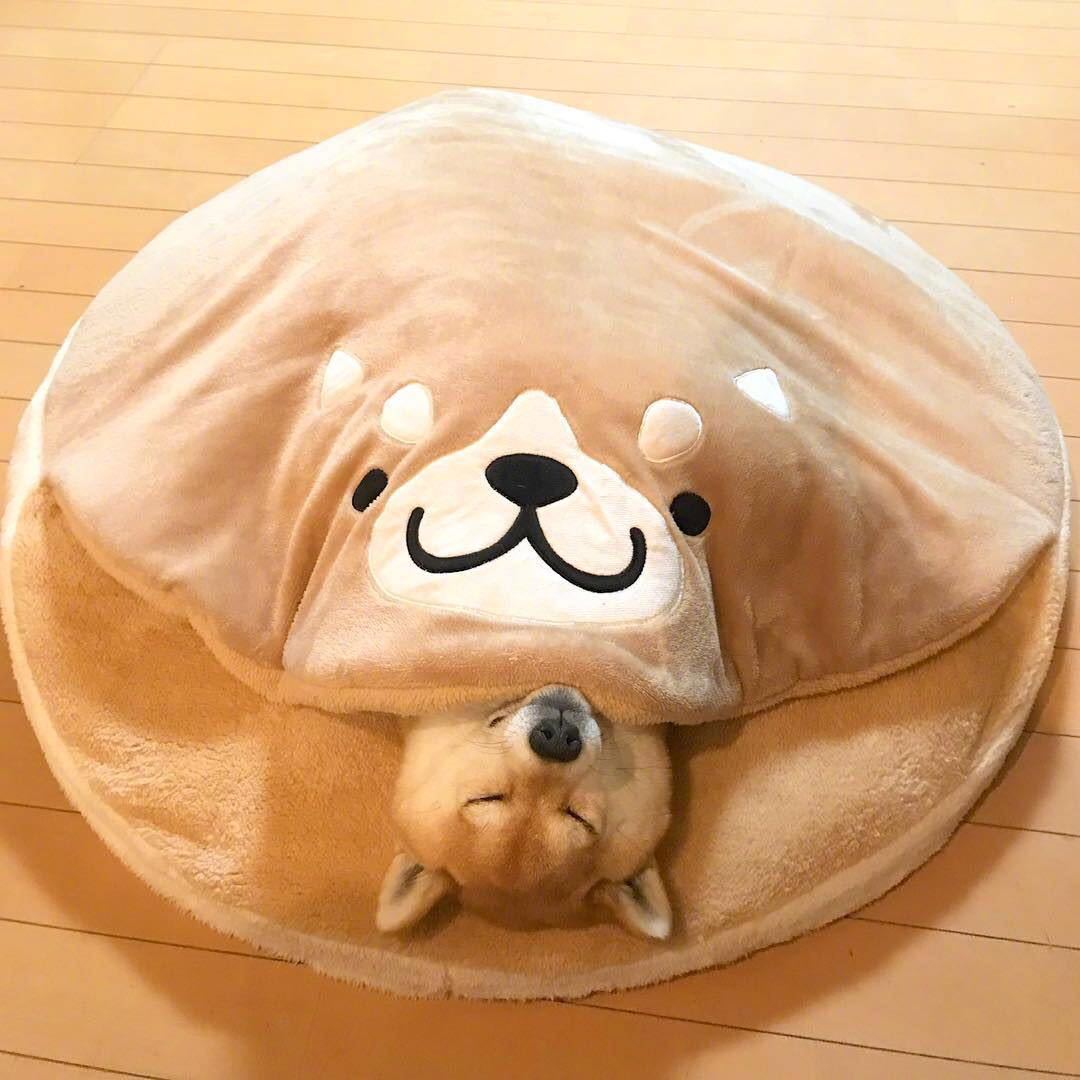 Doghouse Corgi Teddy Plush Dorayaki Sleeping bed for Cats and Dogs