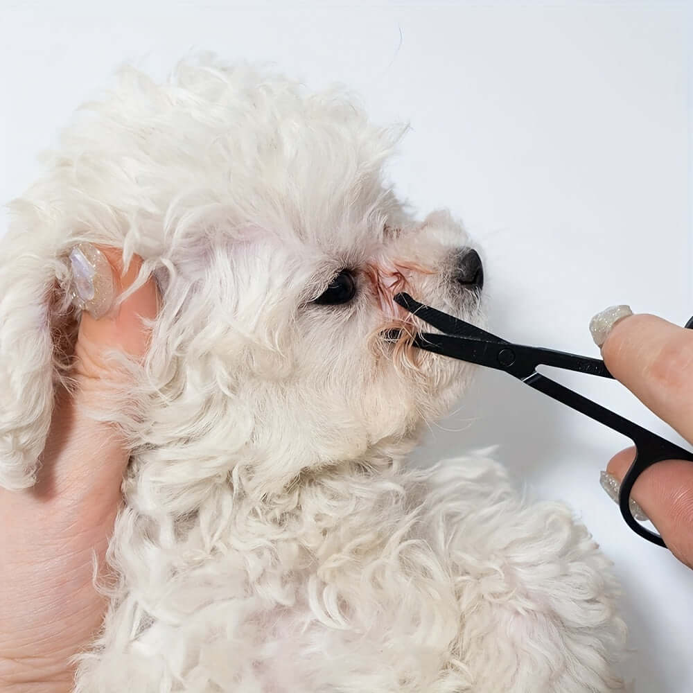 Pet-friendly Eye Grooming Brush Soft Tear Stain Remover With Comb For Dogs And Cats Ambidextrous Design Pet Hair Remover Dog Brush For Hair Removal And Grooming