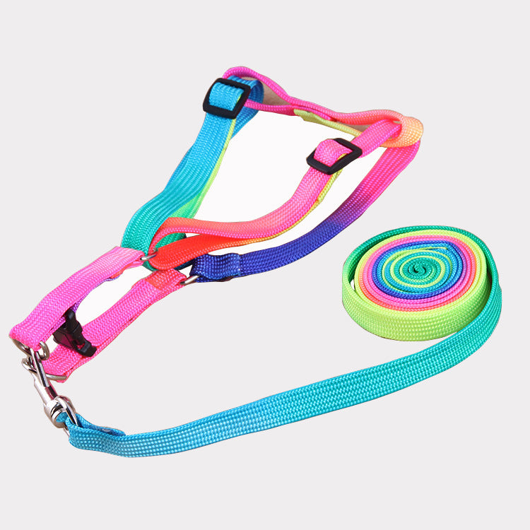 Leashes colorful leashes - FurryFriendMark