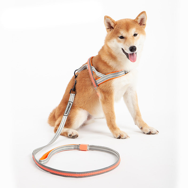 LED dog leash