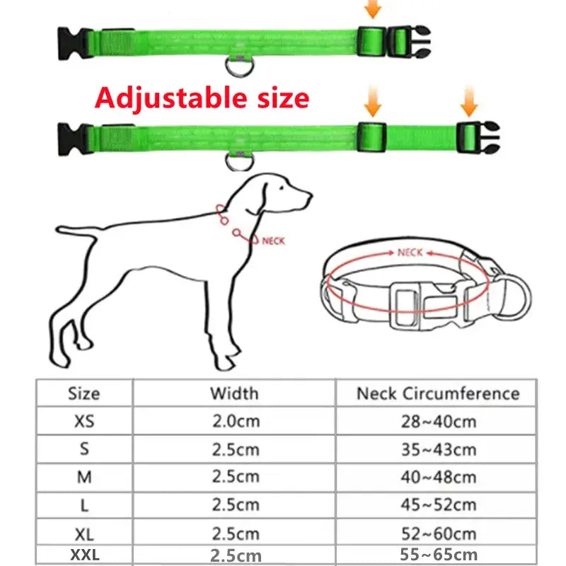 Glowing Dog Collar Adjustable Flashing