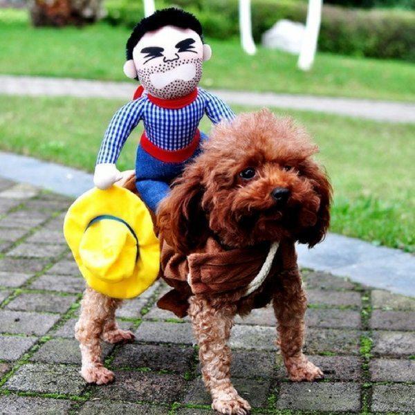 Dog funny costumes