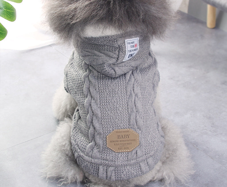 Teddy dog clothes