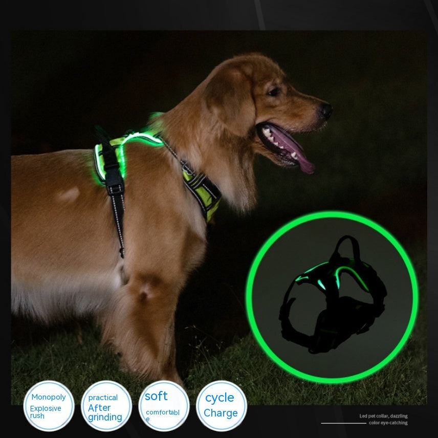 New LED Pet Luminous Night Walking Dog Car Accident Prevention Adjustable Flash Dogs And Cats Vest