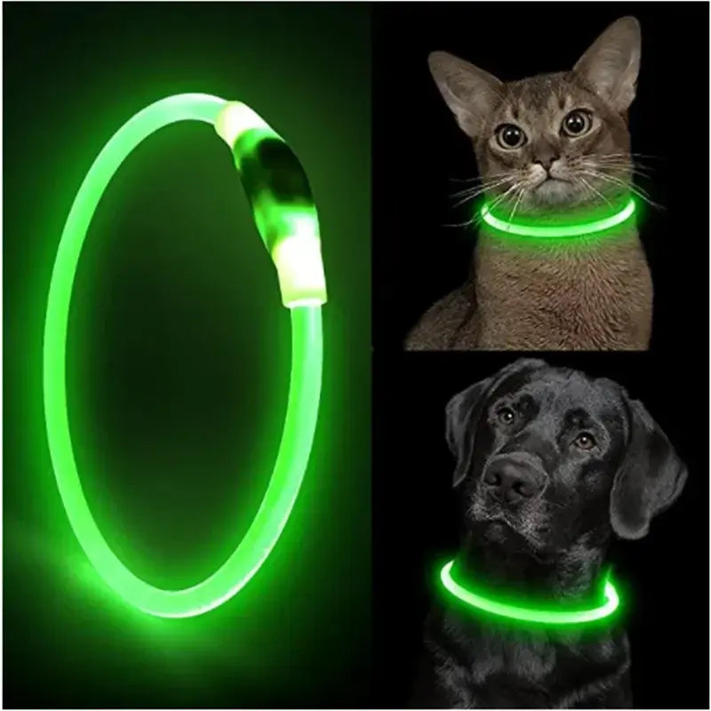 Safety Flashing Glow Dog Collar