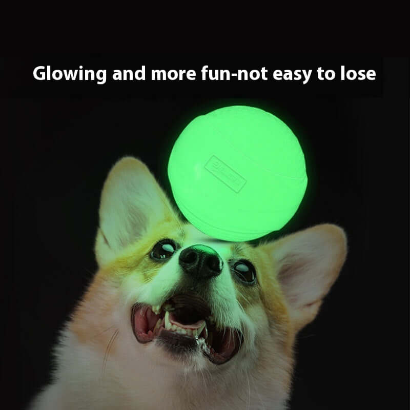 Luminous Toy Ball Puppy Dog Molar Elastic Ball Rubber Ball