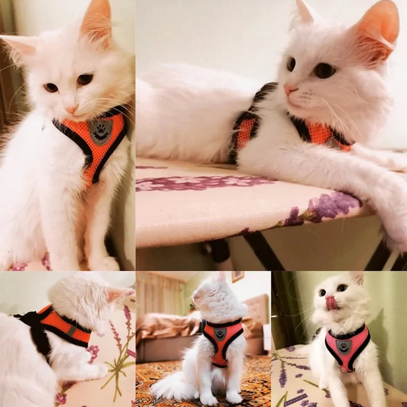 Pet Harness - Comfortable & Adjustable for Every Dog Size