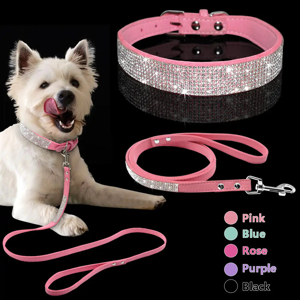 Pet Collar - Stylish & Durable Accessories for Your Pet