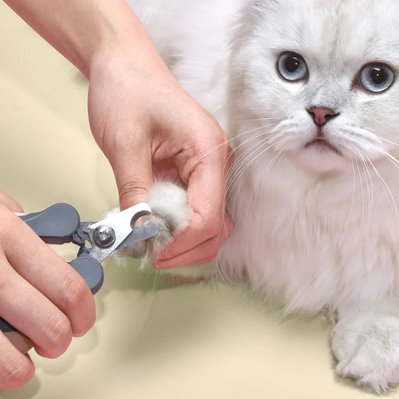 Pet Clipper – Professional Stainless Steel Grooming Tool