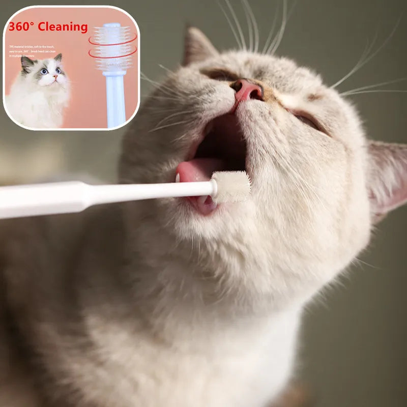 Cat Toothbrush Soft Hair Brush for Cats Mouth Cleaning Cat Brush for Teeth Cleaning Pet Grooming Cats Toothbrush Pet Products - FurryFriendMark