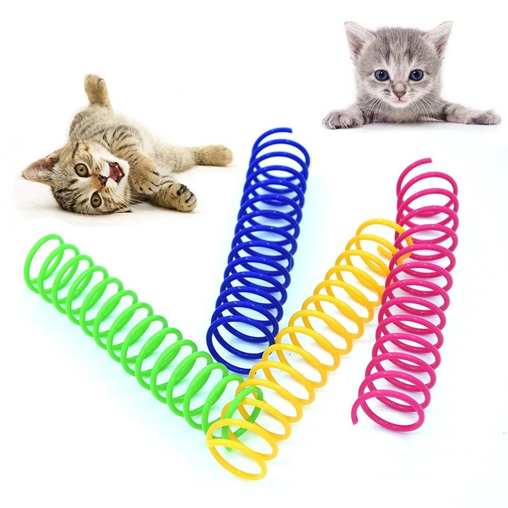 Interactive Cat Color Springs - 4 Pack - FurryFriendMark