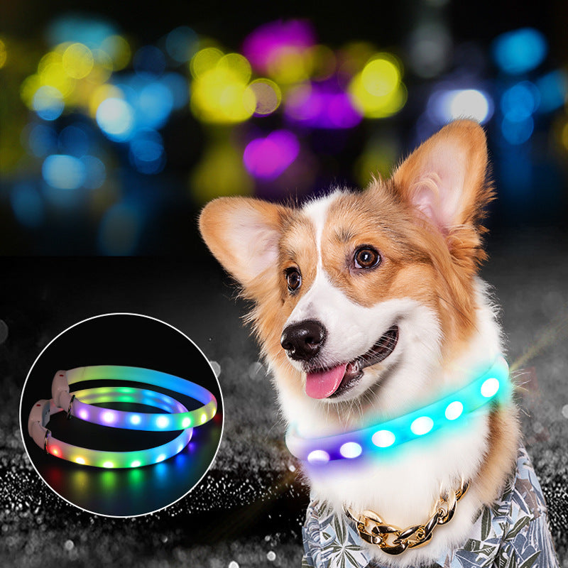 USB Rechargeable Pet Dog LED Glowing Collar Pet Luminous Flashing Necklace Outdoor Walking Dog Night Safety Collar - FurryFriendMark