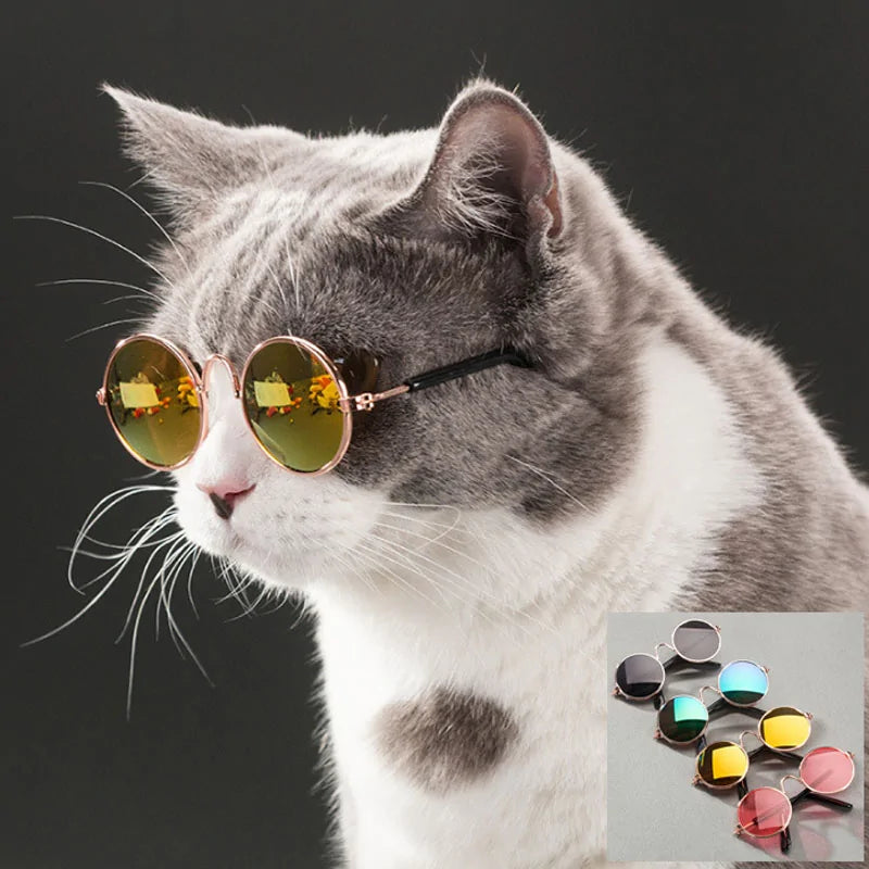 Pet Sunglasses - Stylish and Protective Gear for Pets