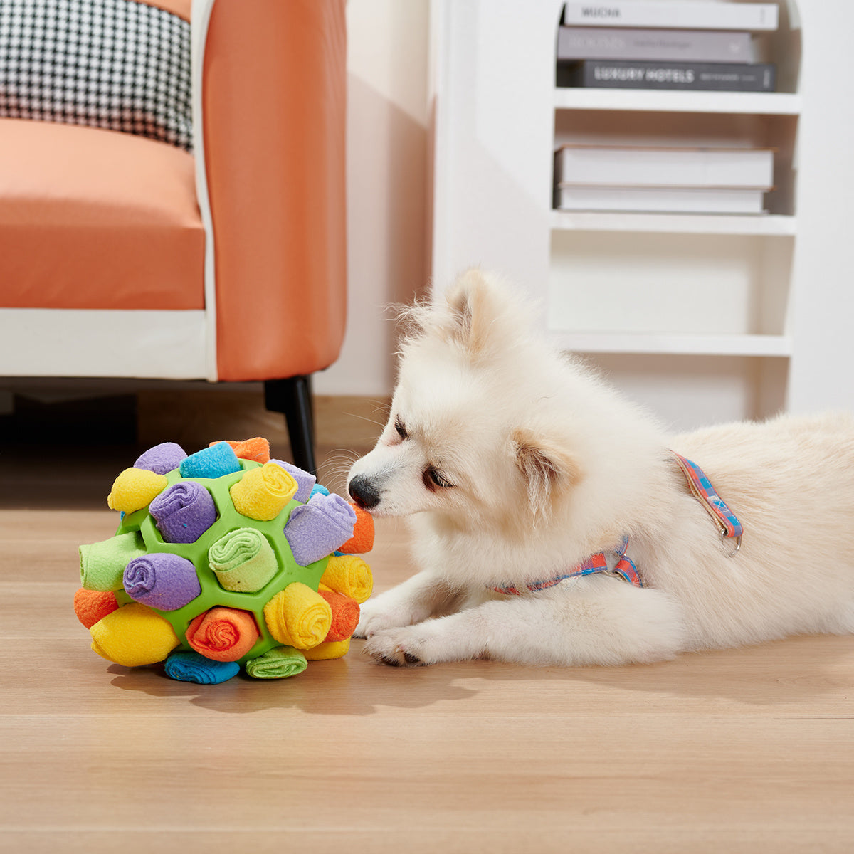 Jouets de puzzle pour chiens à balles reniflées, inscrease IQ, alimentation à distribution lente, chien, chien, maintenant jouet à renifler, jouet d'intelligence