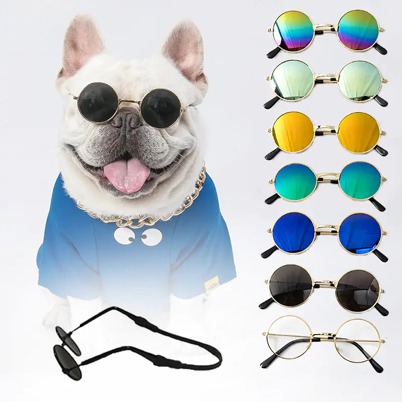 Pet Sunglasses - Stylish UV Protection for Your Furry Friend