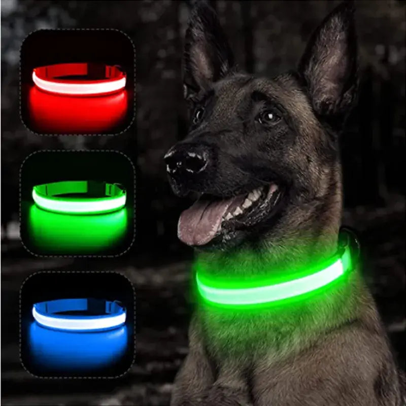 Glowing Dog Collar Adjustable Flashing