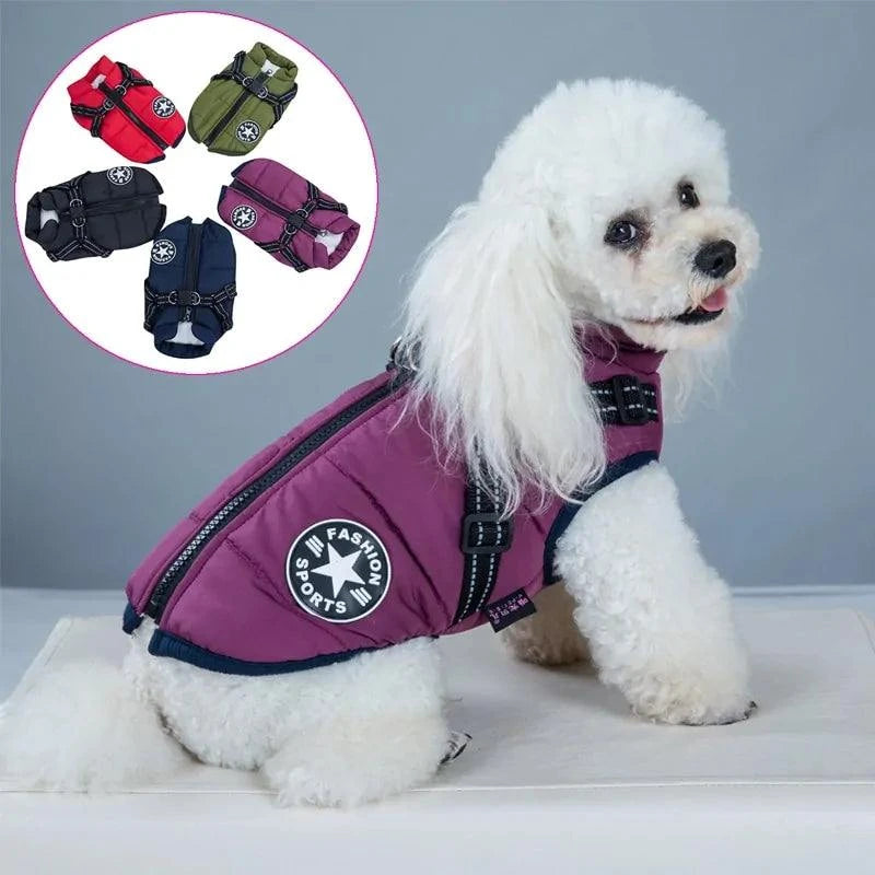 Pet Harness - Ultimate Comfort and Safety for Your Pet